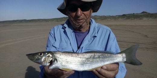 Catching Whiting from the Open Beaches – Port Stephens – Duff's