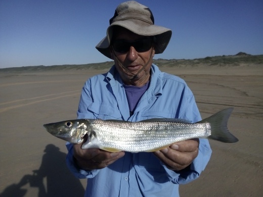 Catching Whiting from the Open Beaches – Port Stephens – Duff's Salamander  Bay Bait & Tackle